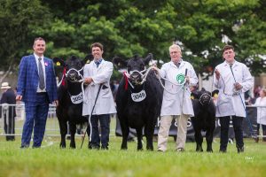 Reserve breed championship success for Pride Jean